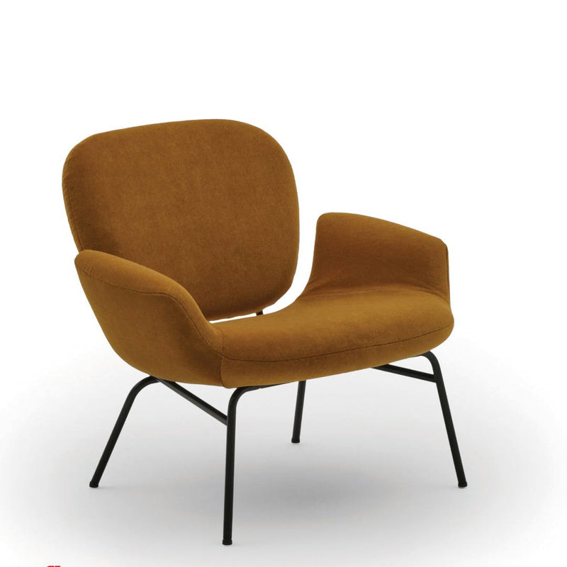 Momo Armchair