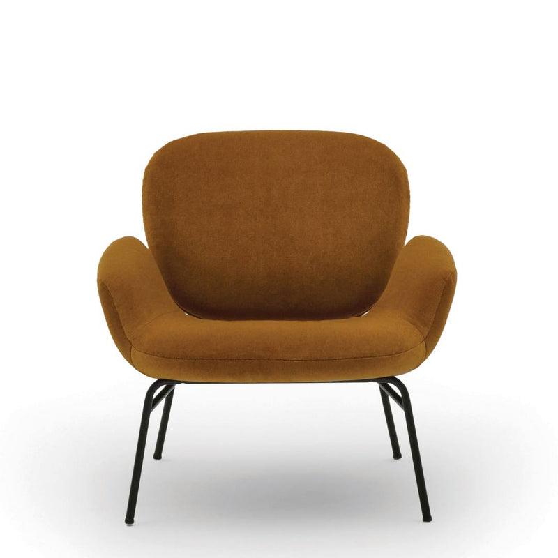 Momo Armchair