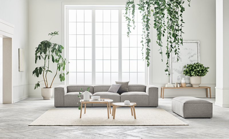 Graceful Coffee Table