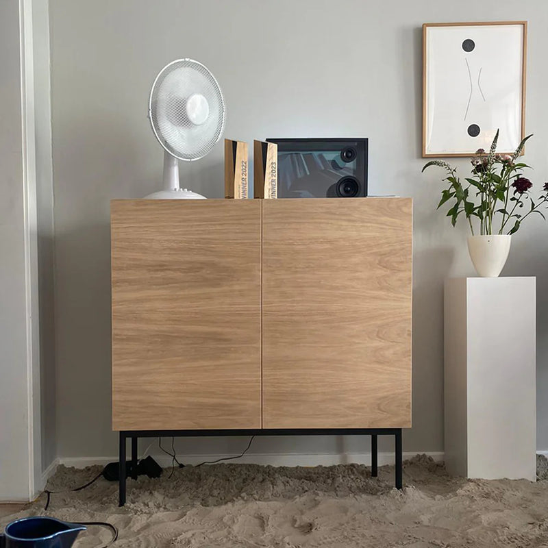 Luc Cabinet 100