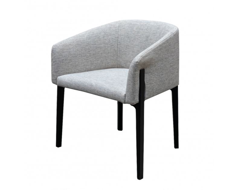 Chesto Dining Chair