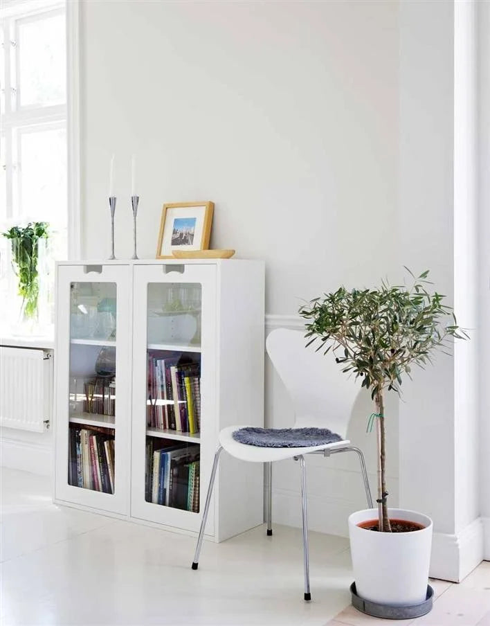 Snow Cabinet E